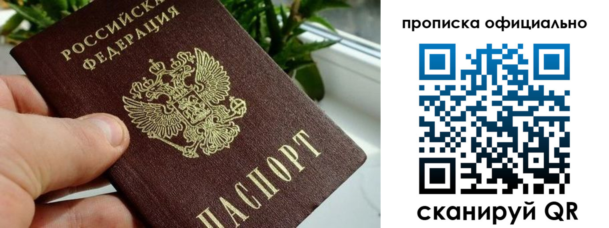 прописка поиск в Дрезне